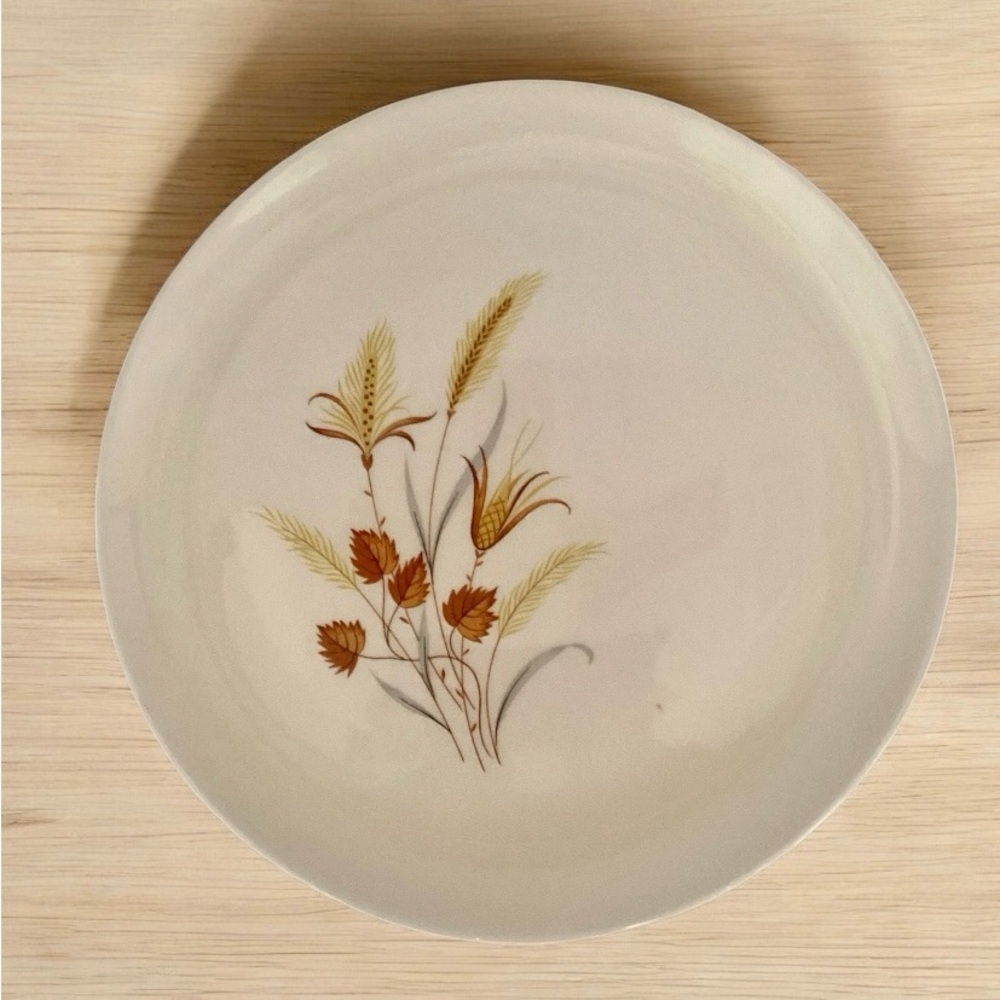 Taylor Smith Taylor Autumn Harvest Wheat Dinner Plates 10.25" Fall Set Of 2